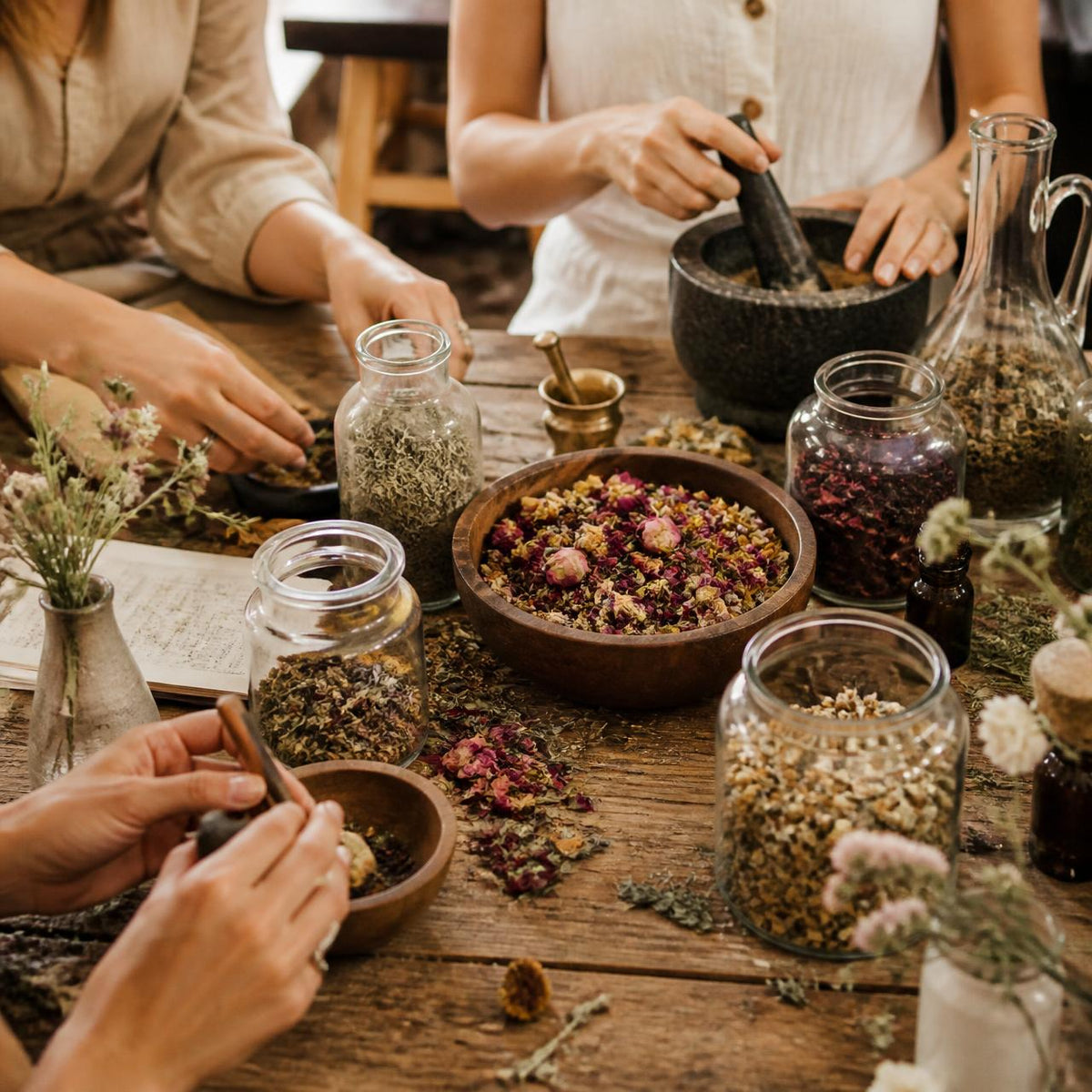 Wellness Workshops